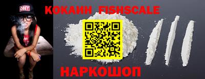 спиды Новодвинск