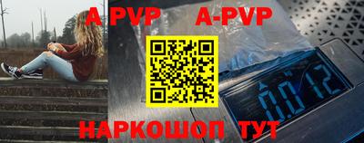 спиды Новодвинск