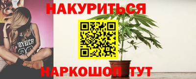 спиды Новодвинск