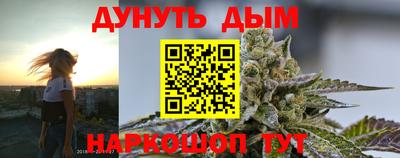 спиды Новодвинск