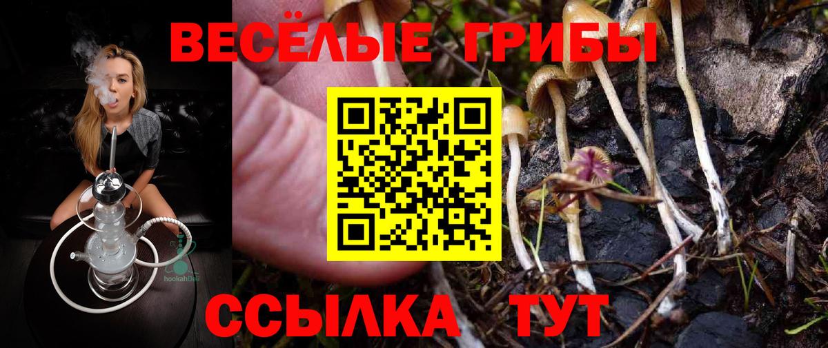 Псилоцибиновые грибы GOLDEN TEACHER  Вход с VPN  Тулун  Псилоцибиновые грибы Cubensis 