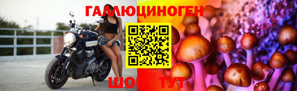 Галлюциногенные грибы GOLDEN TEACHER Тулун